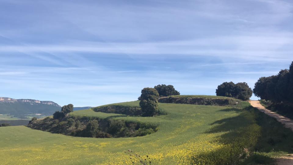 朝聖日記零伍/ camino diary05