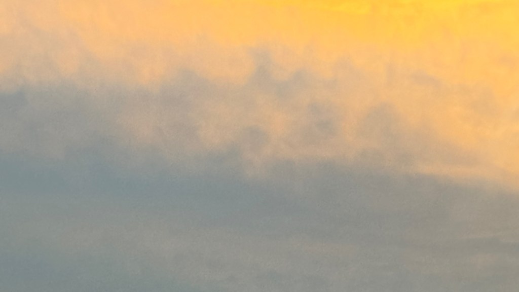 被連鎖餐飲業傷透心的女子記事 Heart broken experience with McDonald’s.