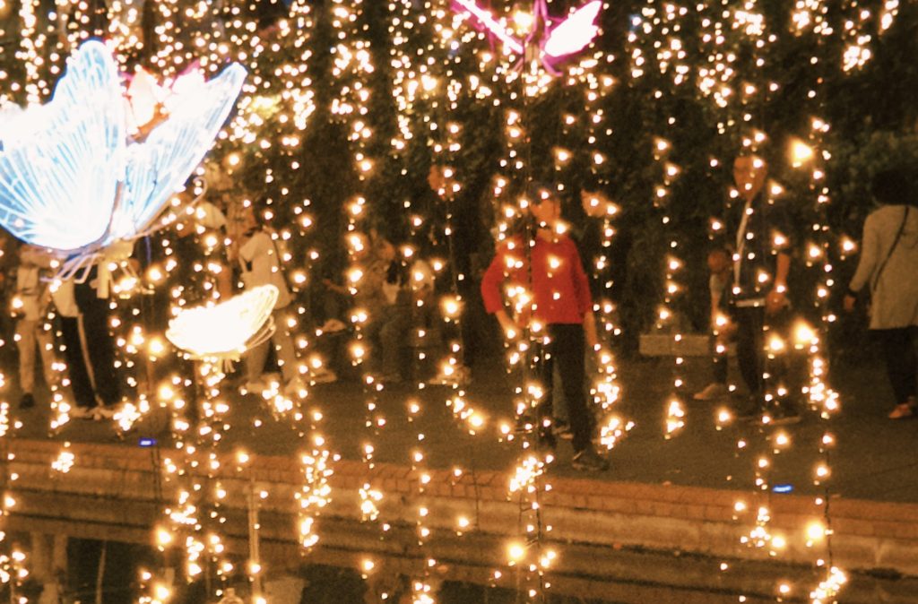 受保護的文章：導演愛情 Directing love.