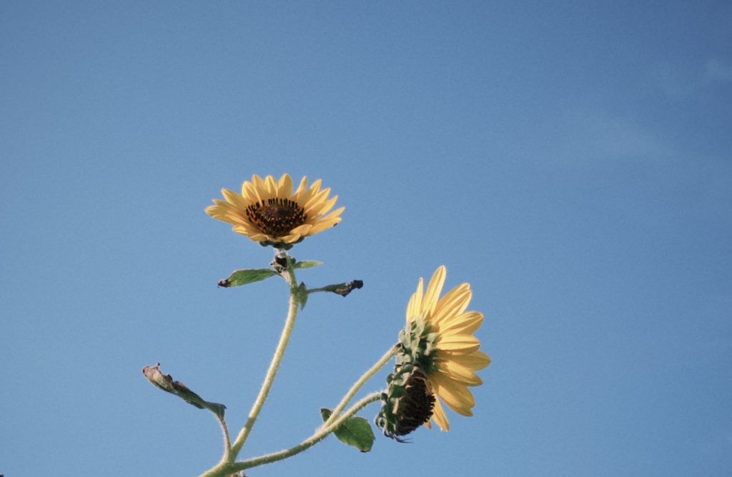 有關31-1 something about 31 part&nbsp;1.